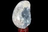 Crystal Filled Celestine (Celestite) Egg Geode - Large Crystals! #88317-1